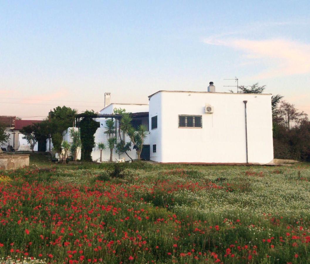 Villa Sara Di Puglia كاستلانيتا المظهر الخارجي الصورة