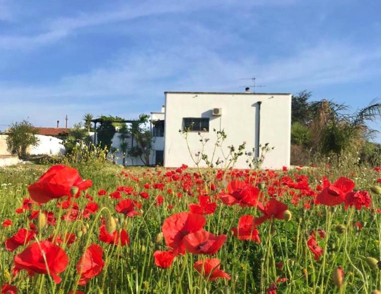 Villa Sara Di Puglia كاستلانيتا المظهر الخارجي الصورة