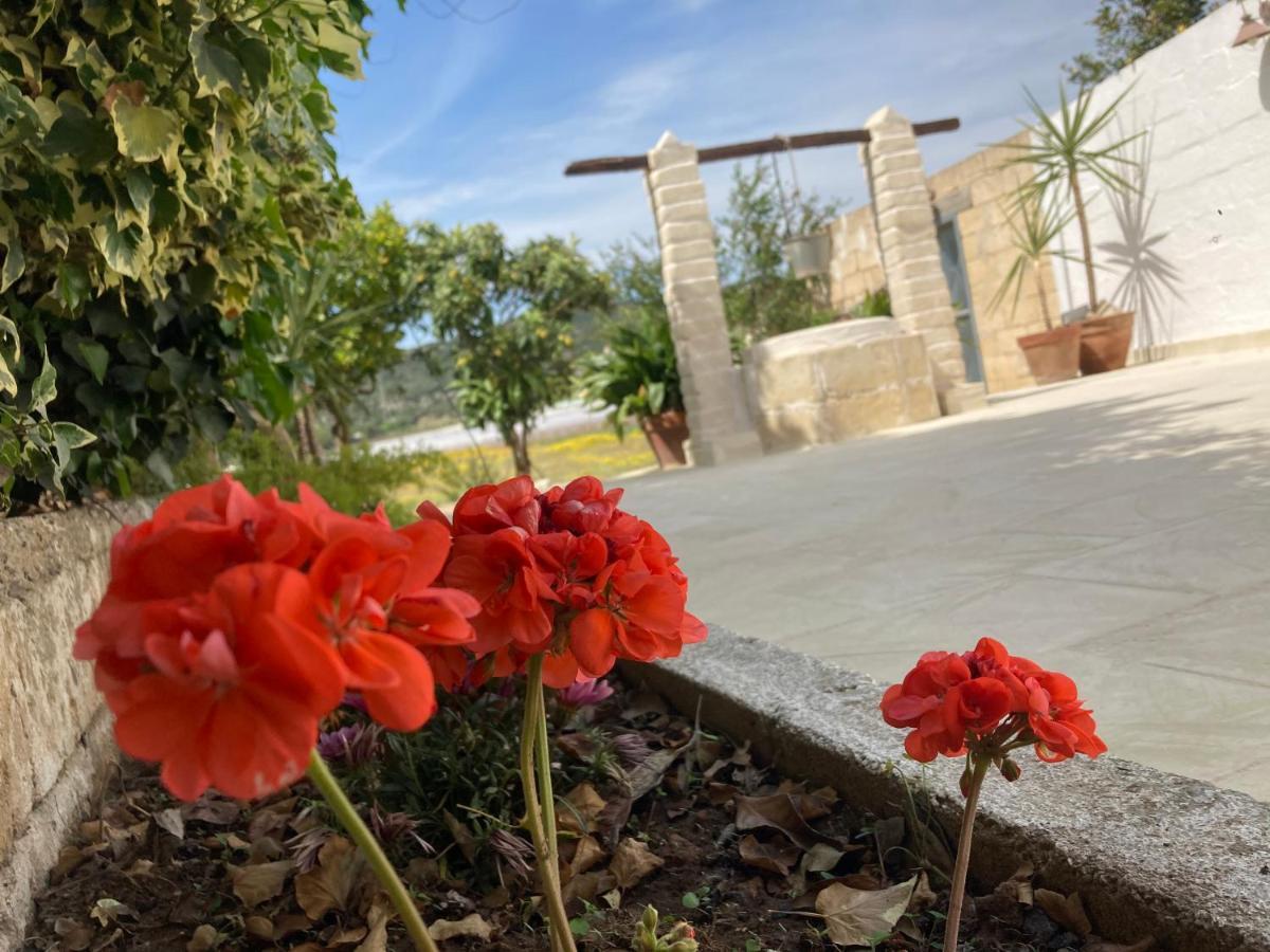 Villa Sara Di Puglia كاستلانيتا المظهر الخارجي الصورة